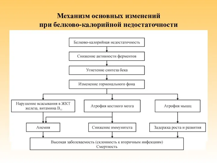 Механизм основных изменений при белково-калорийной недостаточности