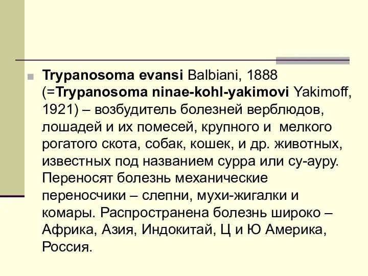 Trypanosoma evansi Balbiani, 1888 (=Trypanosoma ninae-kohl-yakimovi Yakimoff, 1921) – возбудитель болезней