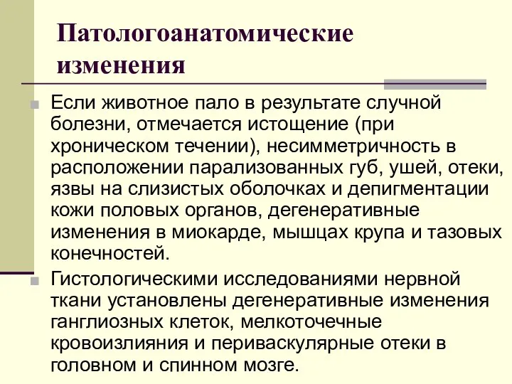 Патологоанатомические изменения Если животное пало в результате случной болезни, отмечается истощение