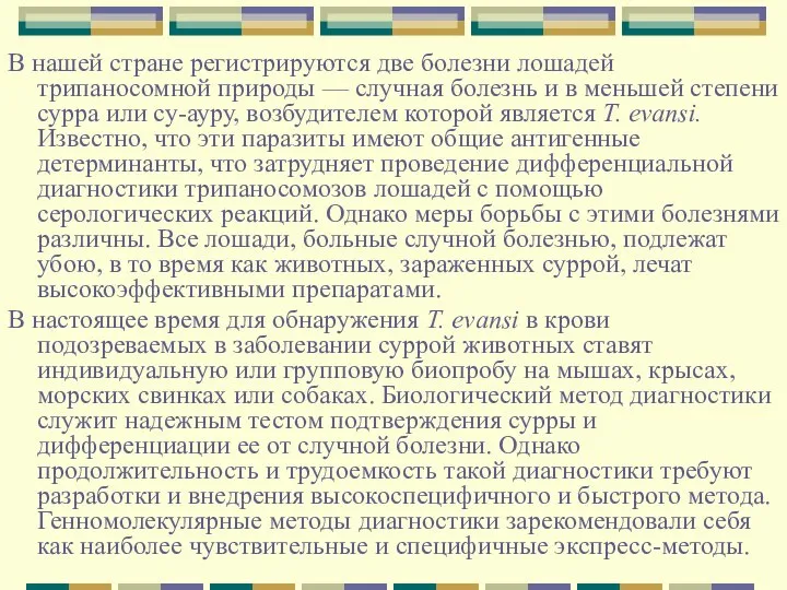 В нашей стране регистрируются две болезни лошадей трипаносомной природы — случная