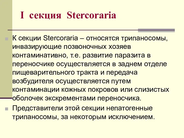 I секция Stercoraria К секции Stercoraria – относятся трипаносомы, инвазирующие позвоночных