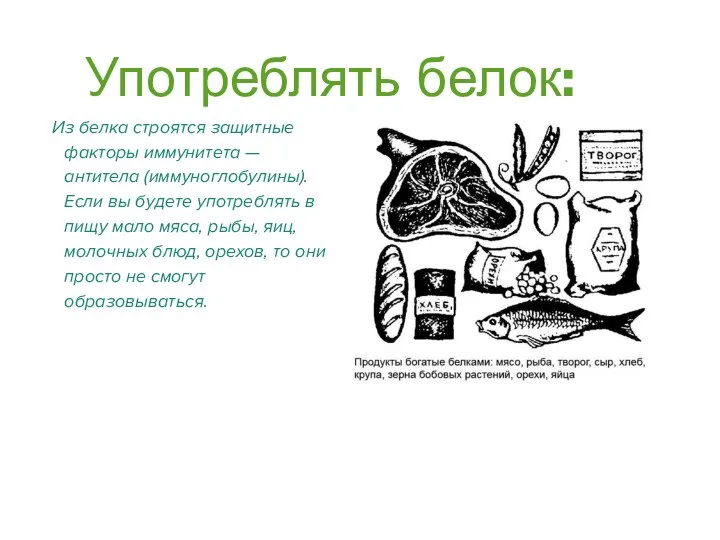 Употреблять белок: Из белка строятся защитные факторы иммунитета — антитела (иммуноглобулины).