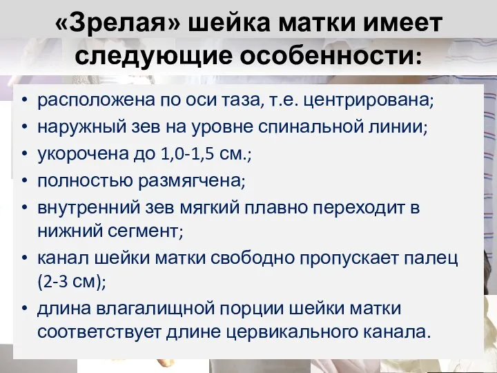 «Зрелая» шейка матки имеет следующие особенности: расположена по оси таза, т.е.