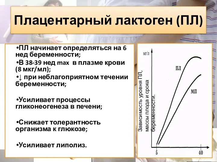 Плацентарный лактоген (ПЛ) ПЛ начинает определяться на 6 нед беременности; В