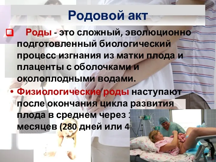 Роды - это сложный, эволюционно подготовленный биологический процесс изгнания из матки