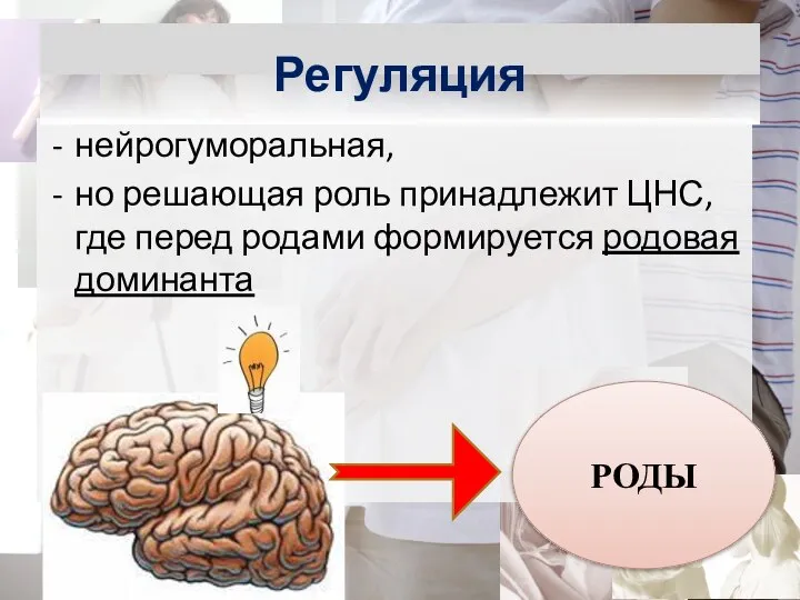 нейрогуморальная, но решающая роль принадлежит ЦНС, где перед родами формируется родовая доминанта Регуляция РОДЫ