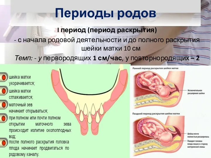 I период (период раскрытия) - с начала родовой деятельности и до