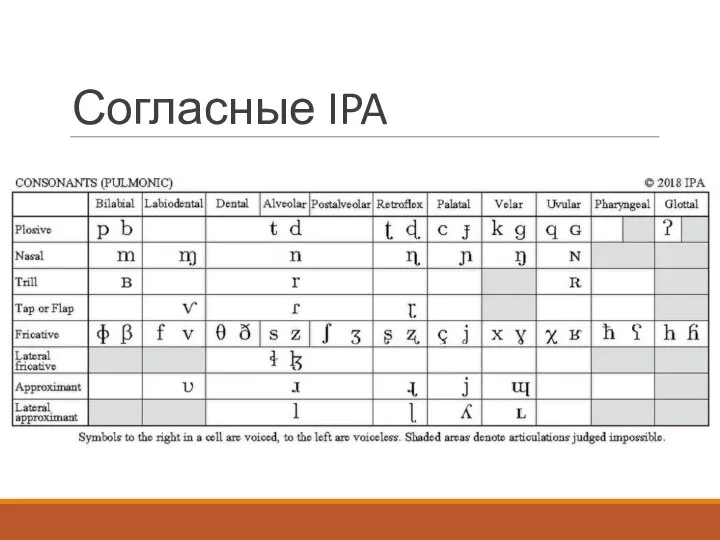 Согласные IPA