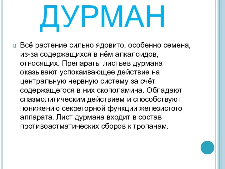 ДУРМАН Всё растение сильно ядовито, особенно семена, из-за содержащихся в нём