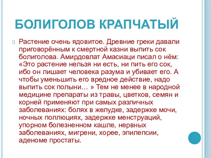 БОЛИГОЛОВ КРАПЧАТЫЙ Растение очень ядовитое. Древние греки давали приговорённым к смертной