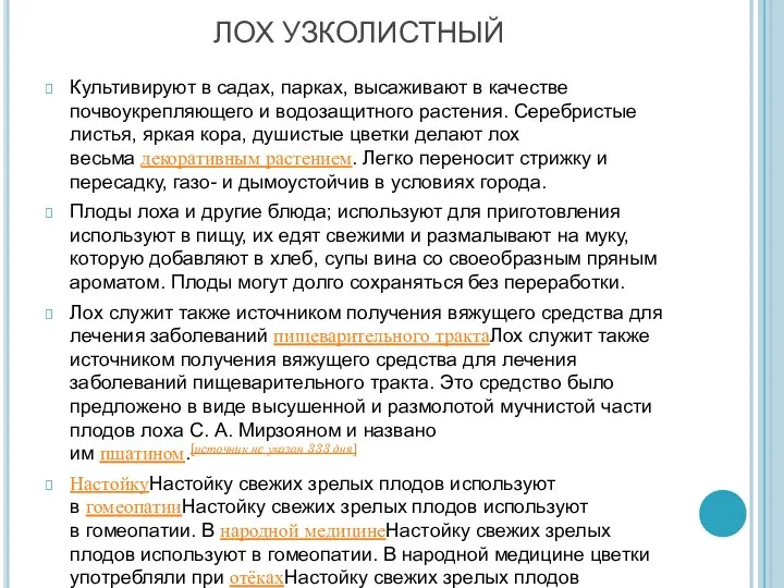 ЛОХ УЗКОЛИСТНЫЙ Культивируют в садах, парках, высаживают в качестве почвоукрепляющего и