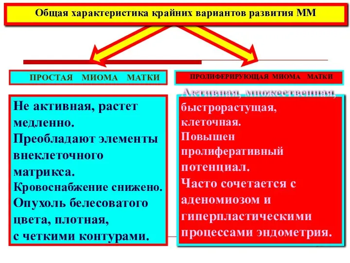 Не активная, растет медленно. Преобладают элементы внеклеточного матрикса. Кровоснабжение снижено. Опухоль