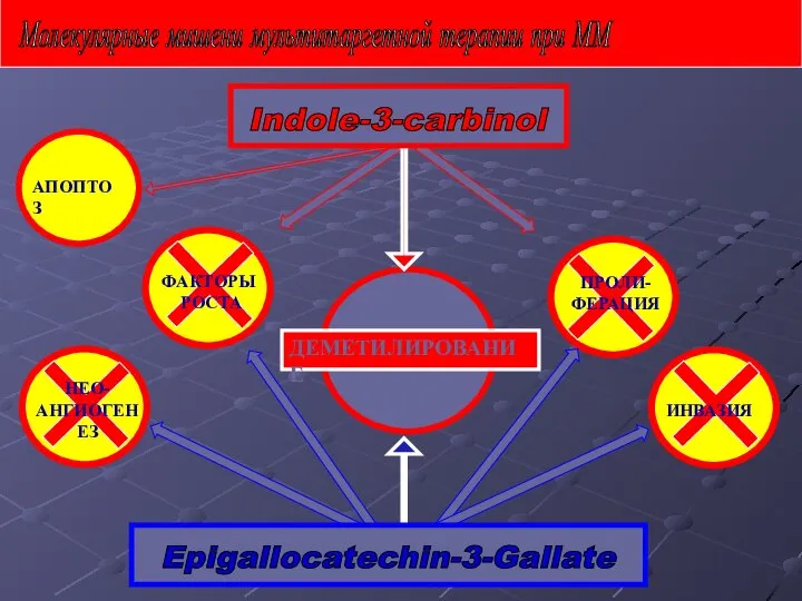 НЕО- АНГИОГЕНЕЗ АПОПТОЗ ПРОЛИ- ФЕРАЦИЯ ФАКТОРЫ РОСТА ИНВАЗИЯ Молекулярные мишени мультитаргетной