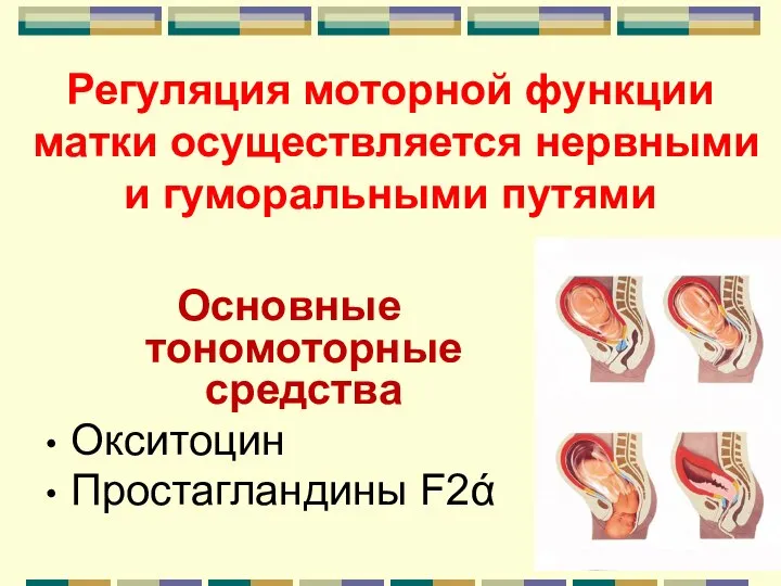 Регуляция моторной функции матки осуществляется нервными и гуморальными путями Основные тономоторные средства Окситоцин Простагландины F2ά