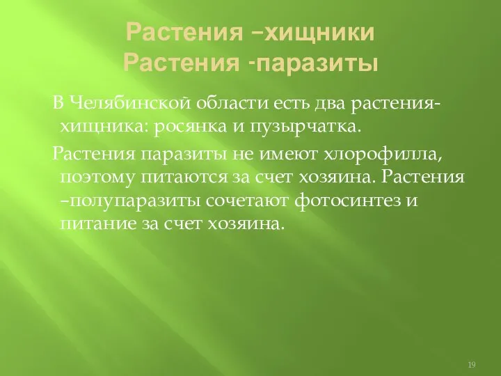 Растения –хищники Растения -паразиты В Челябинской области есть два растения-хищника: росянка