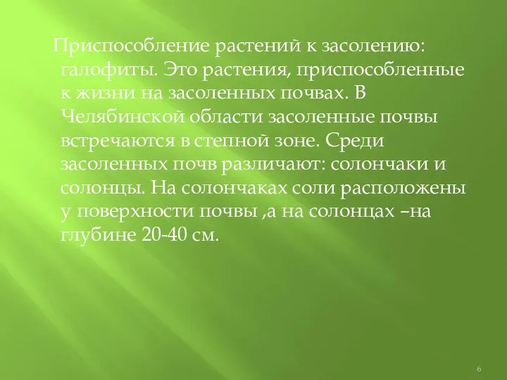 Приспособление растений к засолению: галофиты. Это растения, приспособленные к жизни на