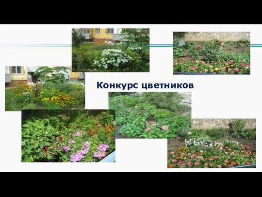 Конкурс цветников