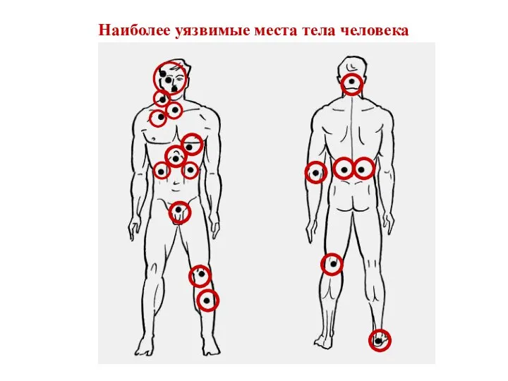 Наиболее уязвимые места тела человека