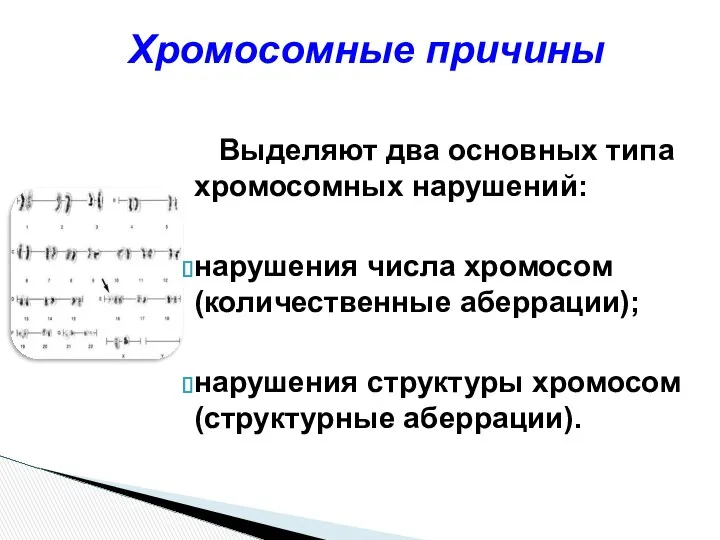 Выделяют два основных типа хромосомных нарушений: нарушения числа хромосом (количественные аберрации);