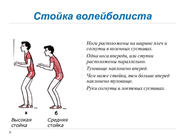 Стойка волейболиста Ноги расположены на ширине плеч и согнуты в коленных