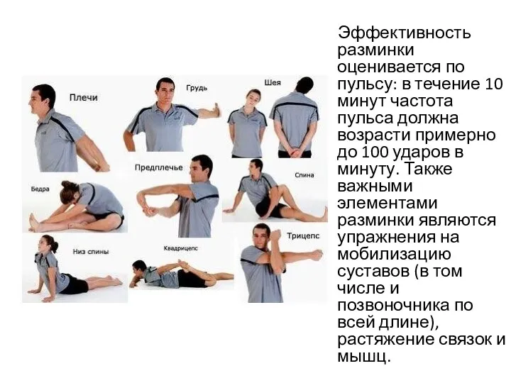 Эффективность разминки оценивается по пульсу: в течение 10 минут частота пульса