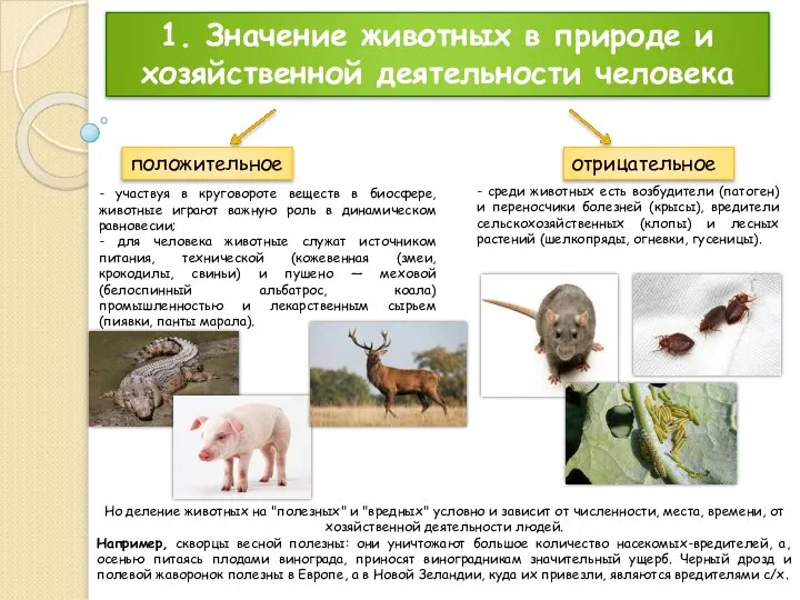 1. Значение животных в природе и хозяйственной деятельности человека - участвуя