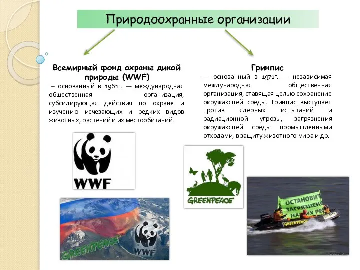 Природоохранные организации Всемирный фонд охраны дикой природы (WWF) – основанный в