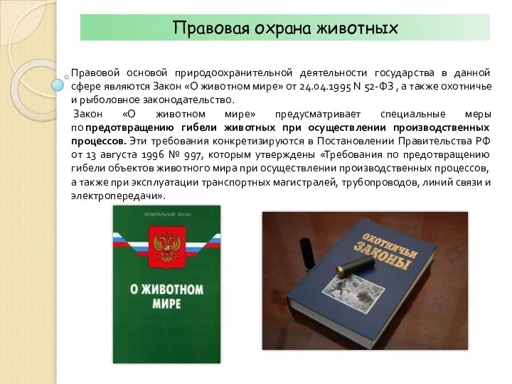 Правовая охрана животных Правовой основой природоохранительной деятельности государства в данной сфере