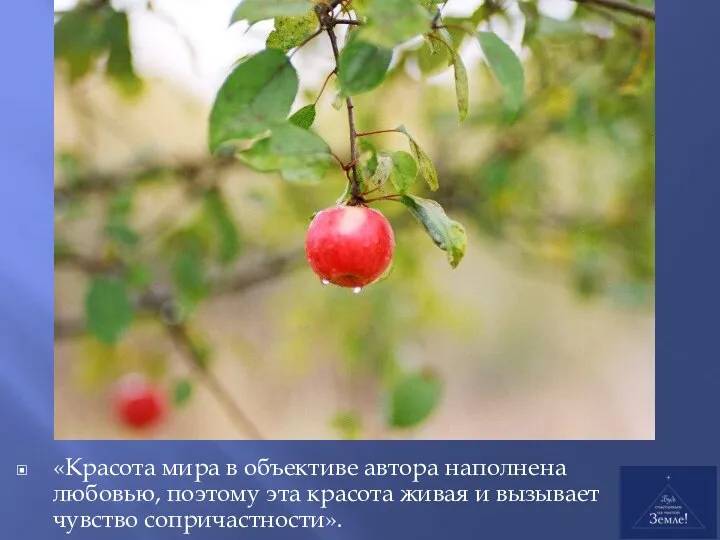 «Красота мира в объективе автора наполнена любовью, поэтому эта красота живая и вызывает чувство сопричастности».