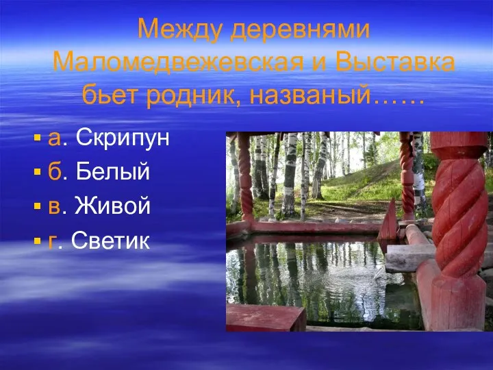 Между деревнями Маломедвежевская и Выставка бьет родник, названый…… а. Скрипун б. Белый в. Живой г. Светик