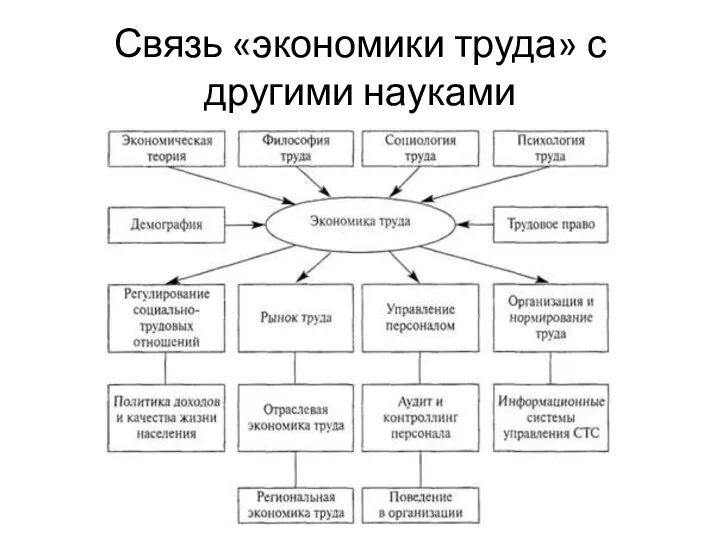 Связь «экономики труда» с другими науками