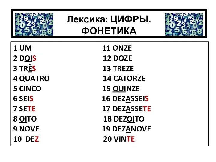 Лексика: ЦИФРЫ. ФОНЕТИКА 1 UM 11 ONZE 2 DOIS 12 DOZE