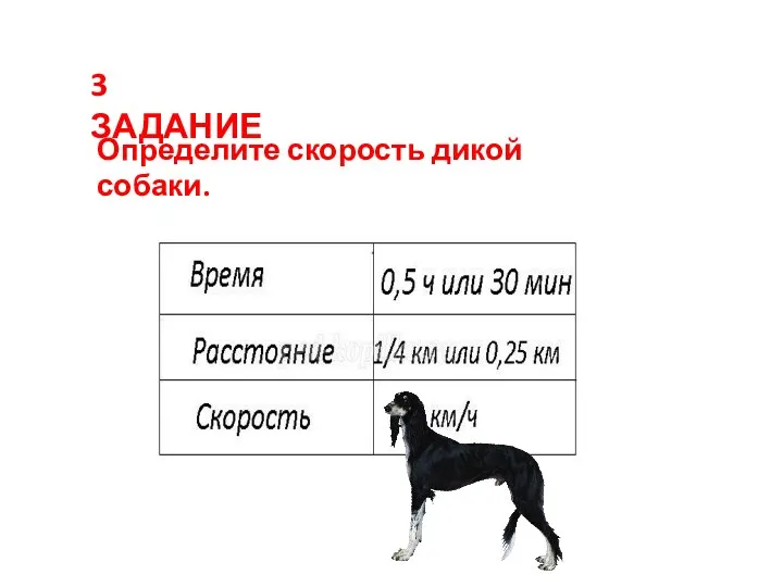 3 ЗАДАНИЕ Определите скорость дикой собаки.