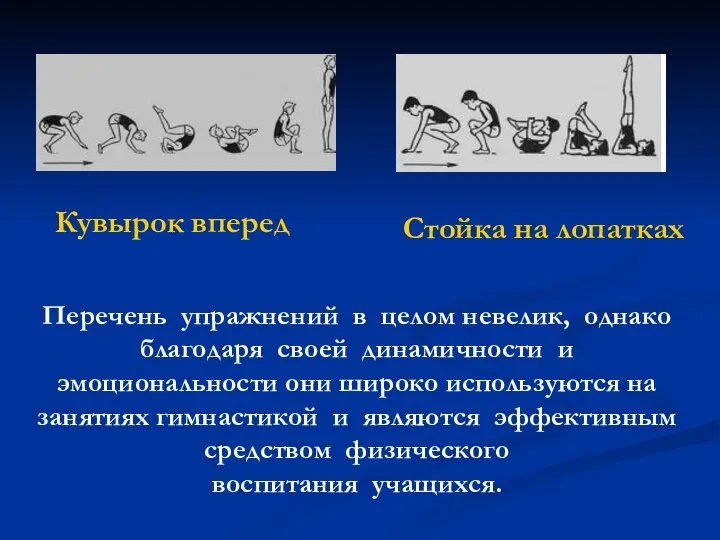 Перечень упражнений в целом невелик, однако благодаря своей динамичности и эмоциональности