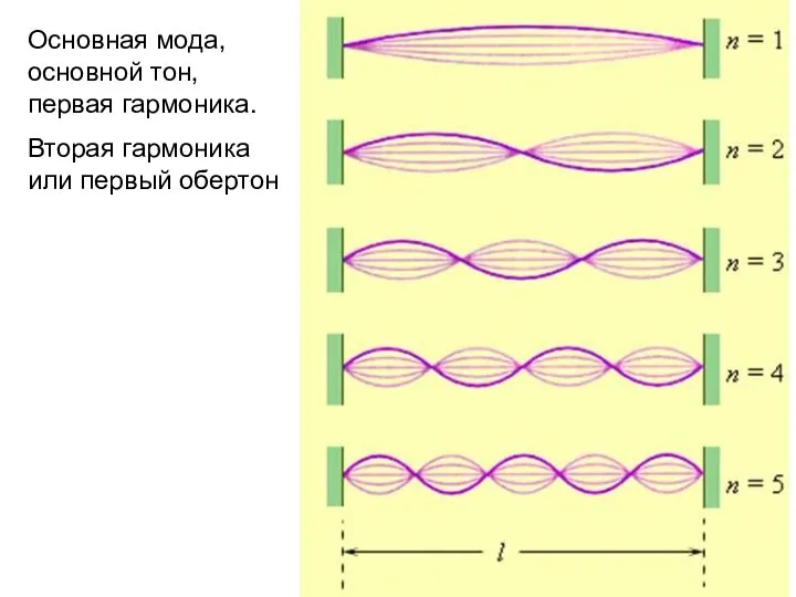 Основная мода, основной тон, первая гармоника. Вторая гармоника или первый обертон