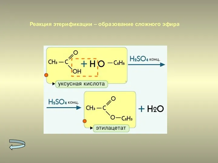 Реакция этерификации – образование сложного эфира