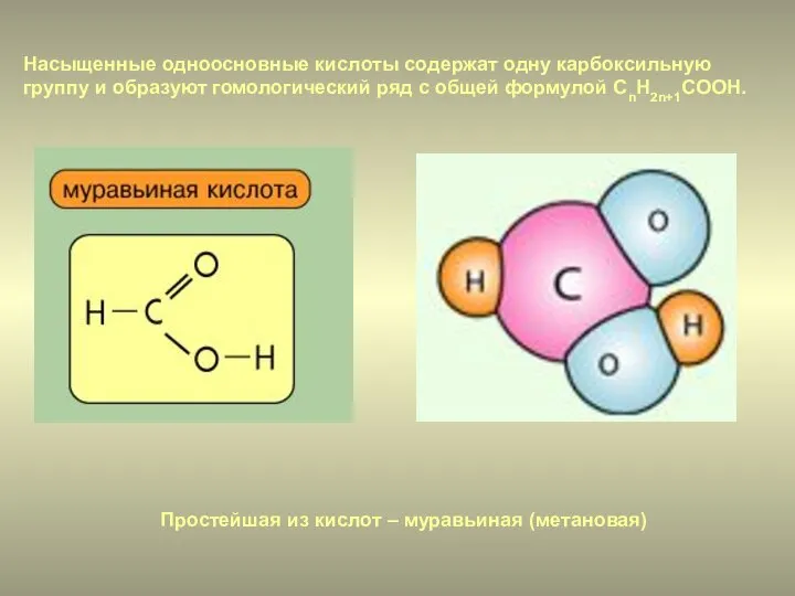 Простейшая из кислот – муравьиная (метановая) Насыщенные одноосновные кислоты содержат одну