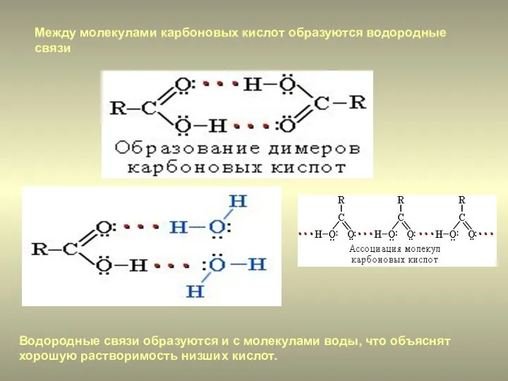 Между молекулами карбоновых кислот образуются водородные связи Водородные связи образуются и