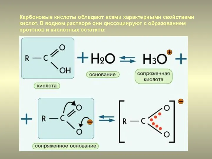 Карбоновые кислоты обладают всеми характерными свойствами кислот. В водном растворе они