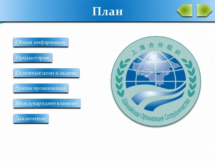 План Общая информация Предыстория Основные цели и задачи Члены организации Международное влияние Заключение