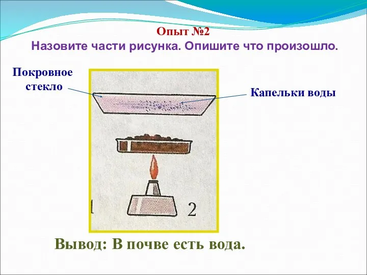 Вывод: В почве есть вода. Капельки воды Опыт №2 Назовите части