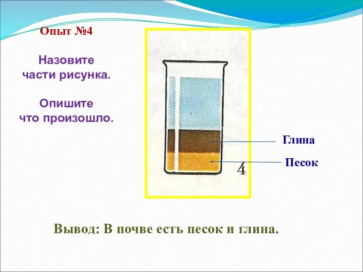 Вывод: В почве есть песок и глина. Глина Песок Опыт №4