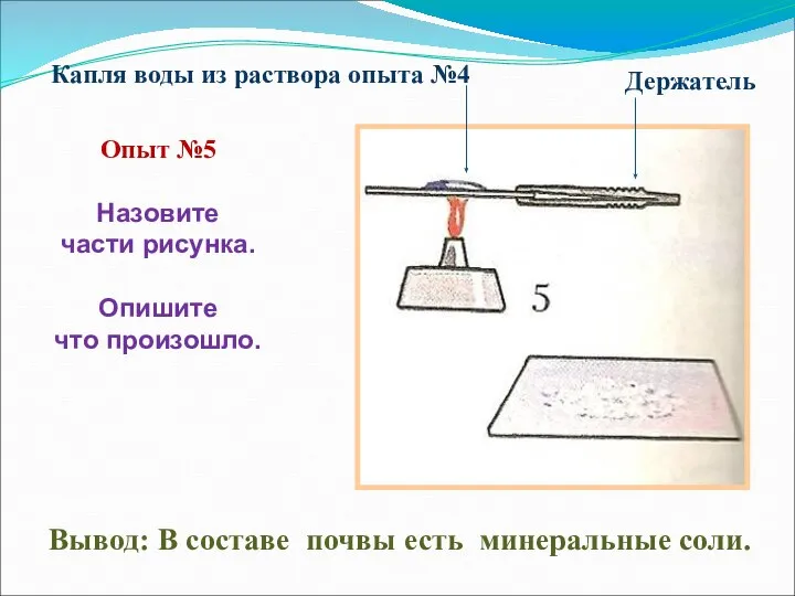 Вывод: В составе почвы есть минеральные соли. Опыт №5 Назовите части