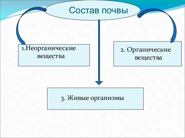 Состав почвы 1.Неорганические вещества 2. Органические вещества 3. Живые организмы