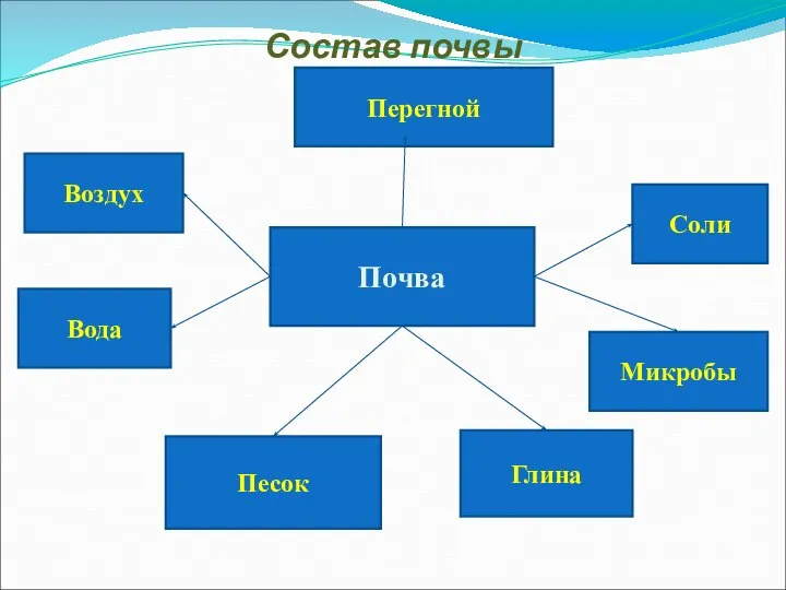 Почва Соли Микробы Перегной Песок Глина Воздух Вода Состав почвы