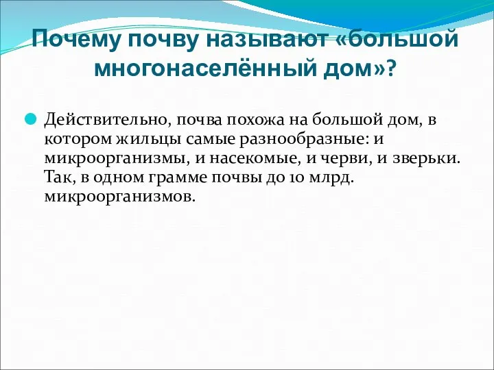 Почему почву называют «большой многонаселённый дом»? Действительно, почва похожа на большой