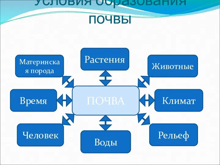 Условия образования почвы Растения Климат Воды Материнская порода Рельеф Человек Животные ПОЧВА Время