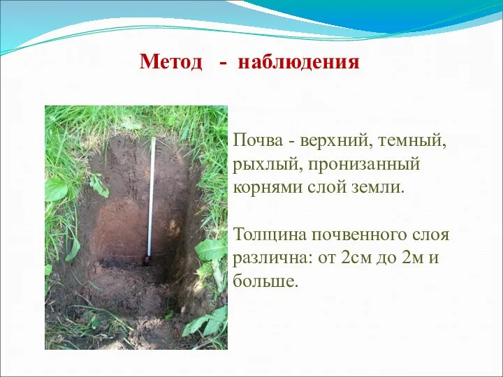 Метод - наблюдения Почва - верхний, темный, рыхлый, пронизанный корнями слой