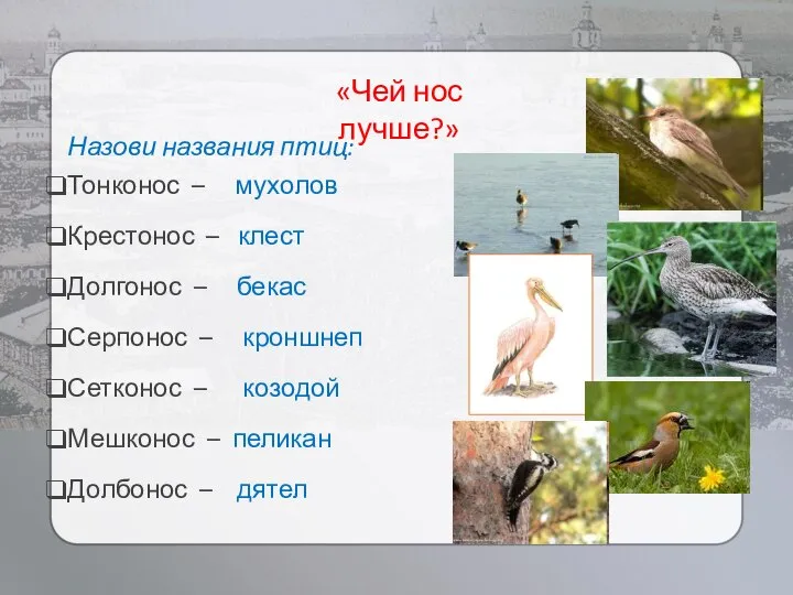 «Чей нос лучше?» Назови названия птиц: Тонконос – мухолов Крестонос –