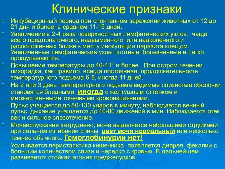 Клинические признаки Инкубационный период при спонтанном заражении животных от 12 до